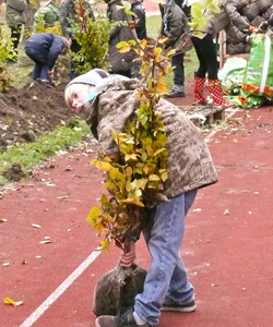 Sidebar-Bild